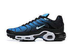 Air Max PLUS TN 1